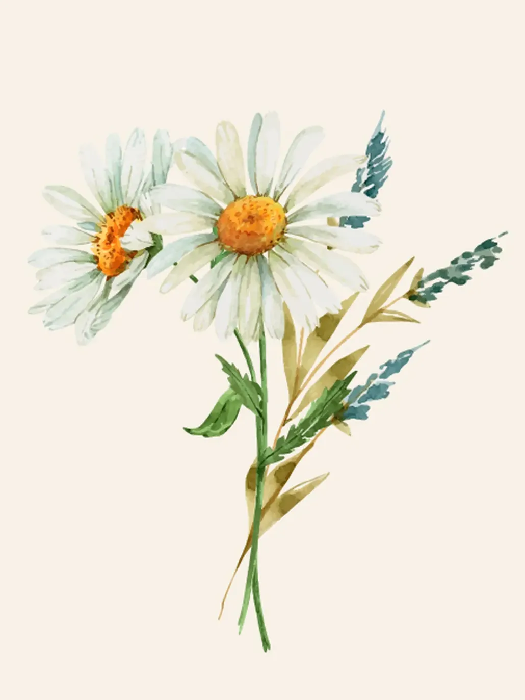 2025 05 08 Margherita