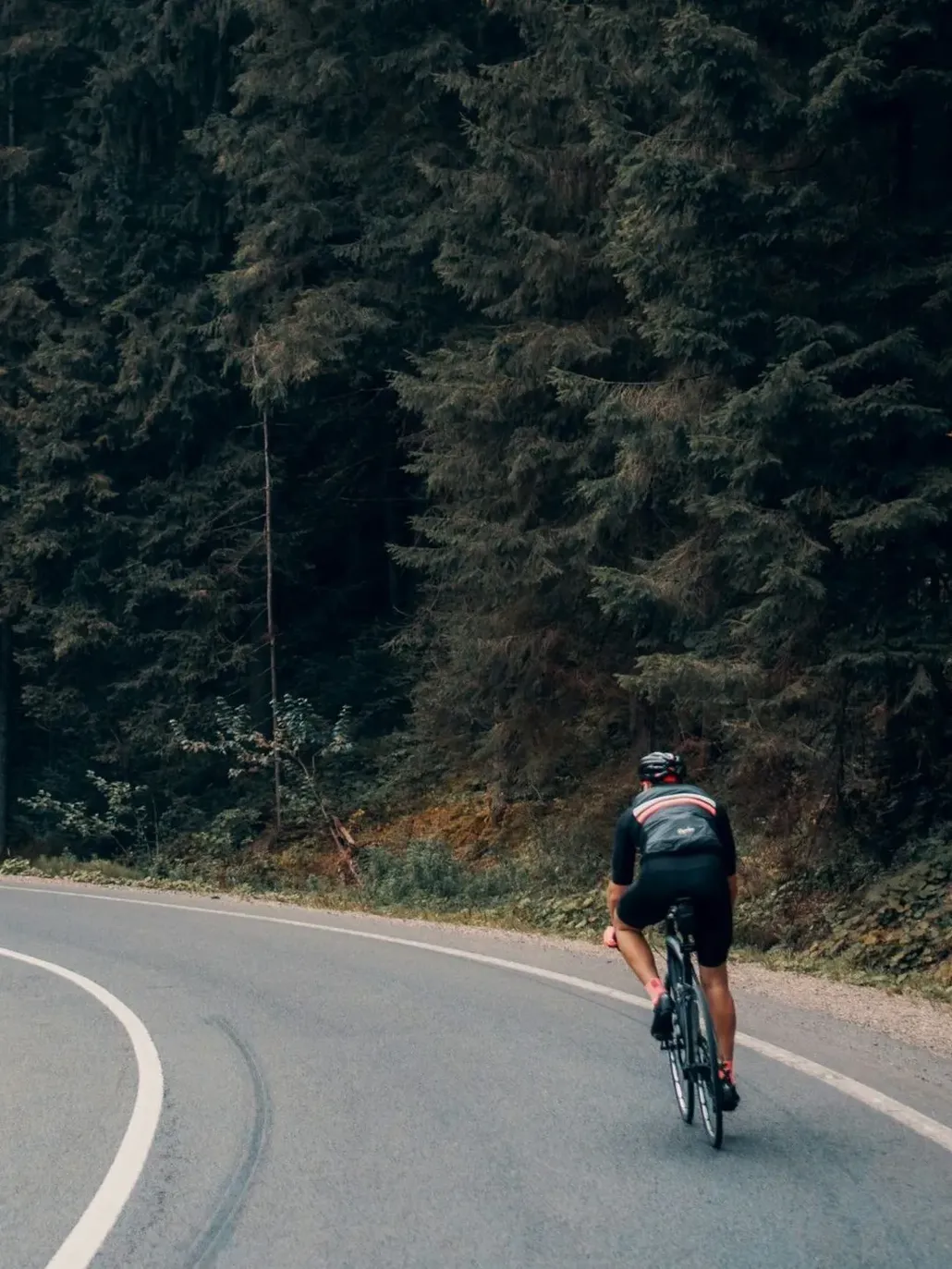 Tour in bici da strada nelle Marche