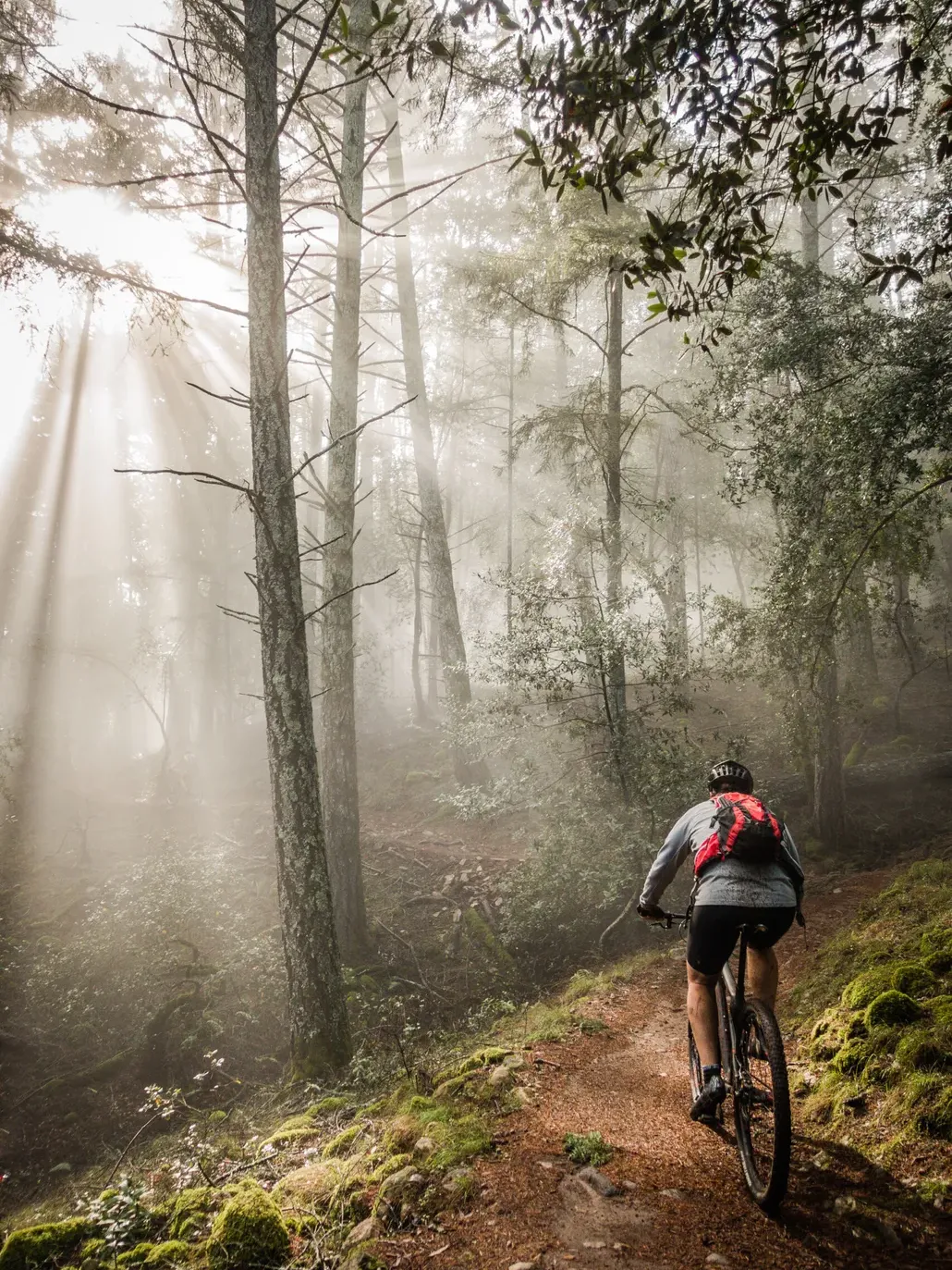 Shutterstock 413207962