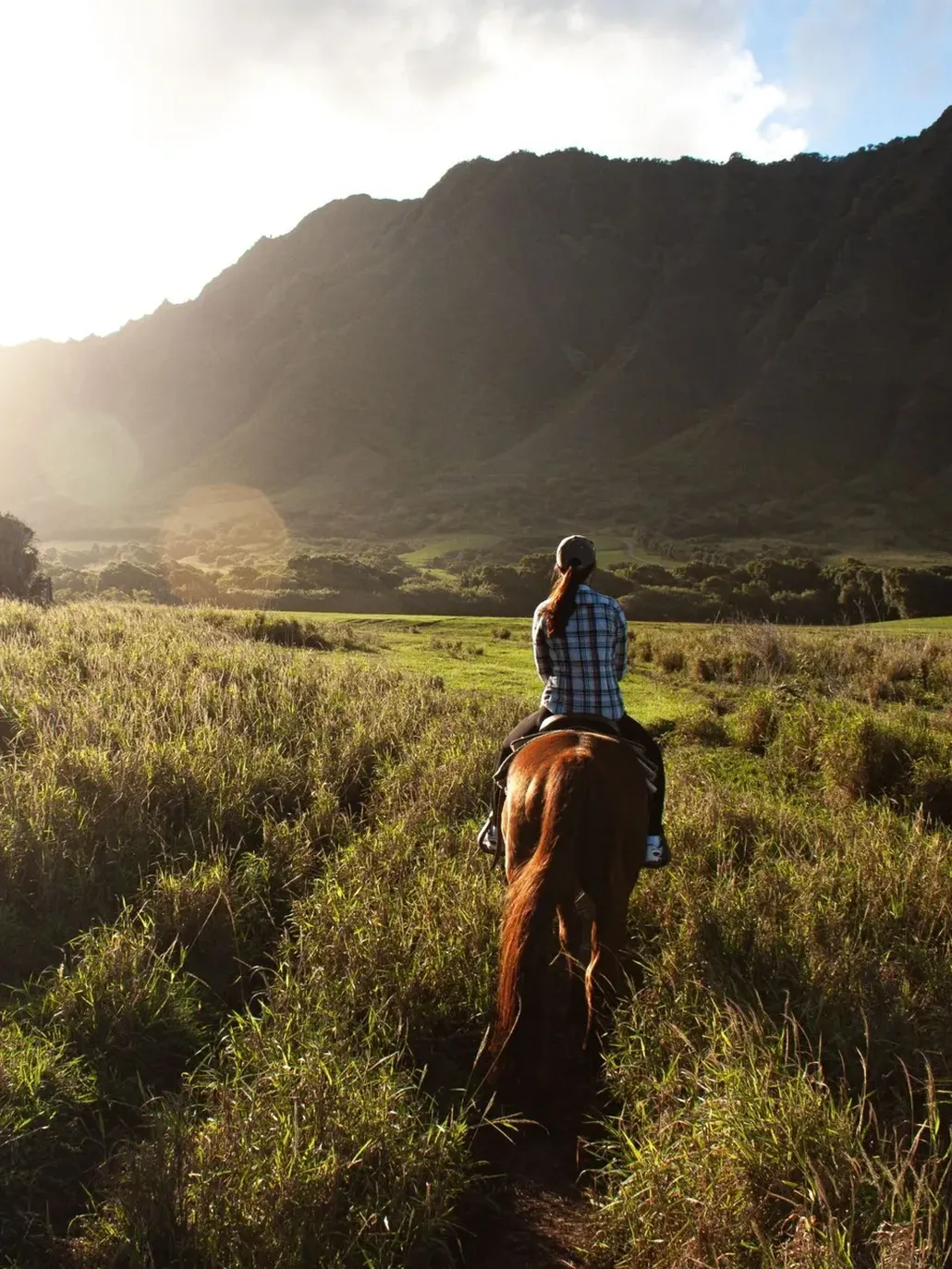Horseback trekking nelle Marche